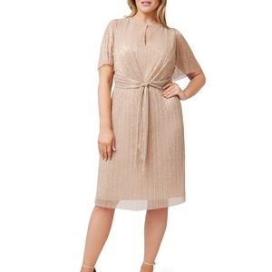 Adrianna Papell Metallic Champagne Gold Dress